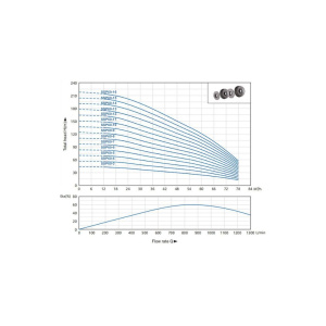 SSP 60 graph