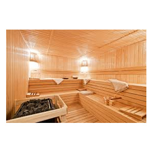 steam-and-sauna