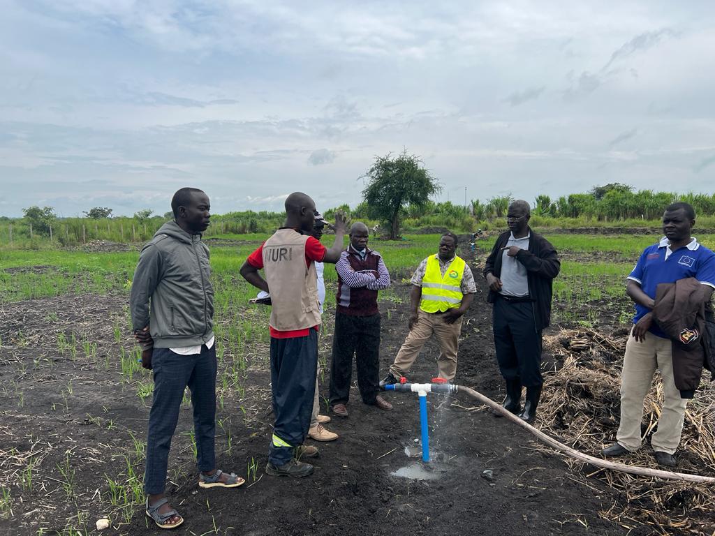 Irrigation Solutions