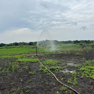 Irrigation